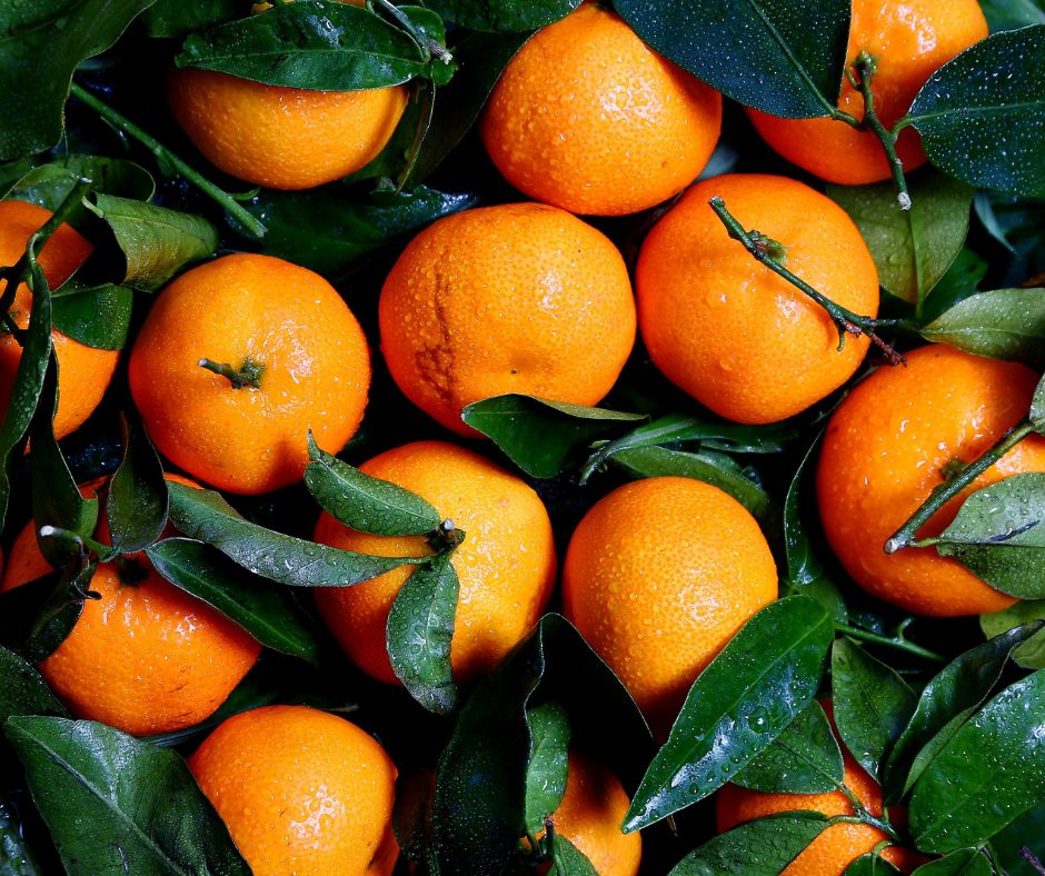 perishables routenix